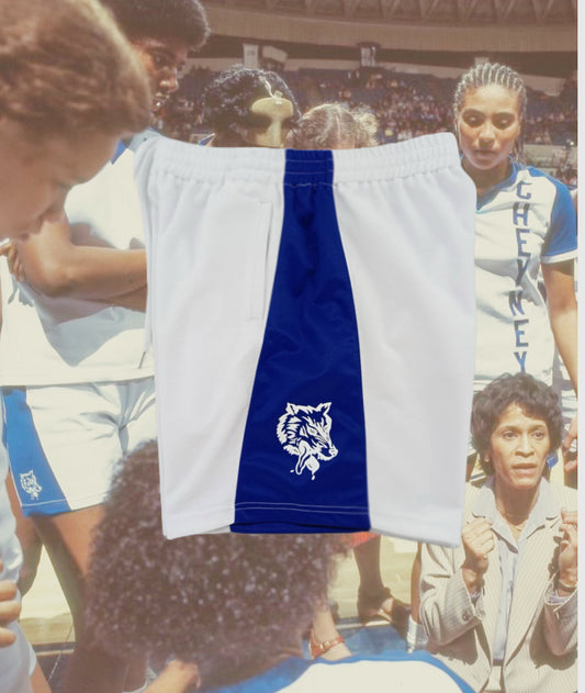 1982 Cheyney State Shorts (Read Description)